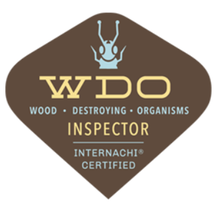 Wood Destroying Organism - Termite Inspection